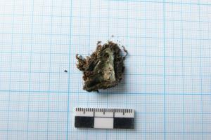 Рис. 7. Погр. 2_бронзовая подвеска.JPG