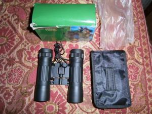 болгарка и бинокль 013.JPG