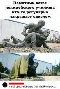 max_g360_c12_r3x4_pd20 (2).jpg