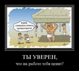 scale_1200 (30).jpeg