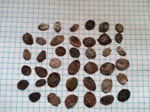 2021-02-28 14-50-02.JPG