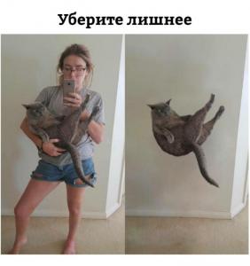 scale_1200 (39).jpeg