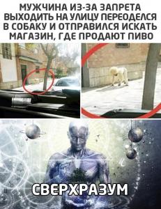 scale_1200 (42).jpeg