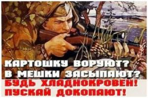 scale_1200 (35).jpeg