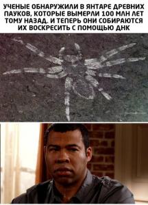 scale_1200 (13).jpeg