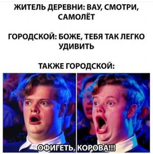 scale_1200 (43).jpeg