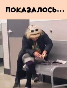 scale_1200 (17).jpeg