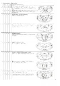 Шпага Франция (2).jpg