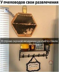 scale_1200 (28).jpeg