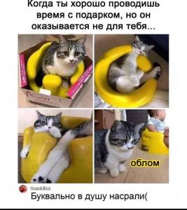 scale_2400 (10).jpeg