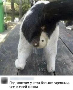 max_g360_c12_r3x4_pd20 (1).jpg