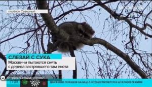 max_g480_c12_r2x3_pd20 (1).jpeg