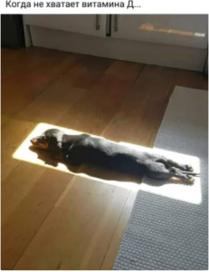 2021-03-03 14_01_00-(34) Одноклассники.png