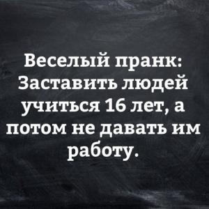 scale_1200 (40).jpeg