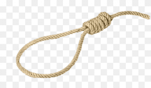 png-transparent-noose-knot-mismatched-braid-thumbnail.png