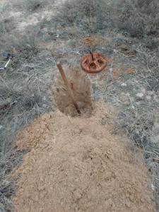 IMG_20210330_182232 (1).jpg