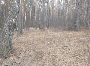 Скриншот 07-04-2021 153004.png