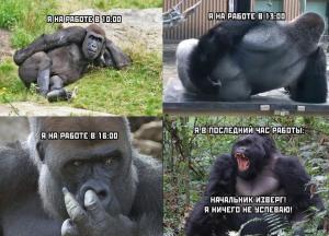 scale_1200 (18).jpeg