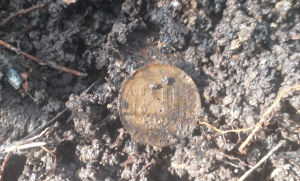 Скриншот 11-04-2021 153516.png