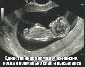 2021-04-03 12_47_46-Фото приколы и прикольные картинки на Кайфолог с надписями про пьяных девушек, п.png