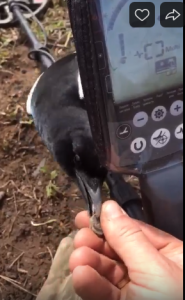 Снимок экрана (127).png