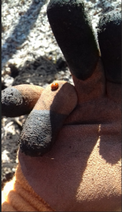 Снимок экрана (12).png