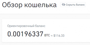 2021-04-02 20_00_02-Обзор кошелька - Кошелек - Безопасность валюты.png