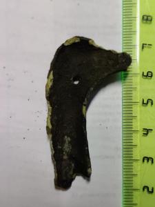 WhatsApp Image 2021-05-16 at 19.31.25.jpeg