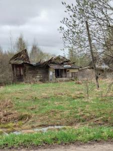 WhatsApp Image 2021-05-06 at 17.05.04.jpeg