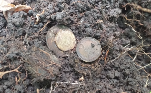 Скриншот 24-05-2021 153322.png