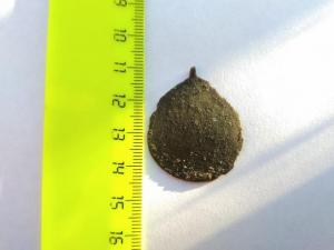 WhatsApp Image 2021-05-16 at 19.12.30 (1).jpeg