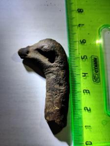 WhatsApp Image 2021-05-16 at 19.26.36.jpeg