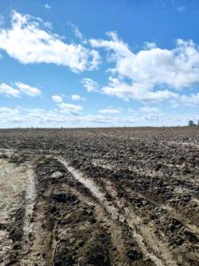 WhatsApp Image 2021-05-07 at 19.28.41 (3).jpeg