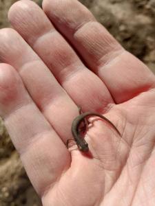 WhatsApp Image 2021-05-07 at 19.28.41 (4).jpeg