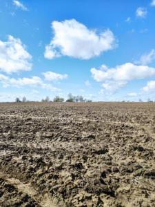 WhatsApp Image 2021-05-07 at 19.28.41 (2).jpeg