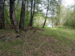 IMAG0200_новый размер.jpg