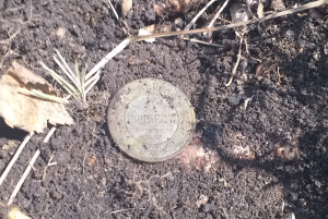 Скриншот 10-05-2021 155637.png