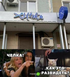 max_g360_c12_r3x4_pd20 (3).jpg