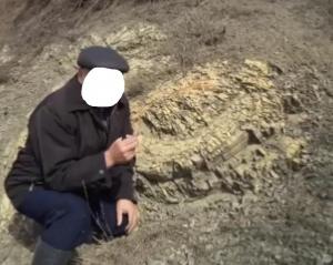 дерево с человеком1.jpg