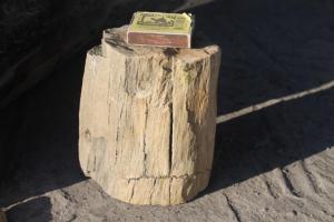 кусчек ствола.jpg