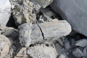 с бобышкой.jpg