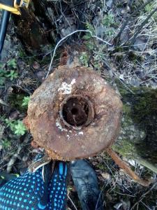 85f04bf7-79f0-4fe5-aedf-023edb7b0d5a (1).jpg