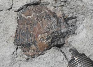 непонятно что.jpg