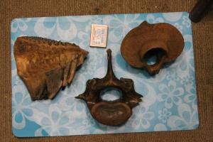 мамонт запчасти..JPG