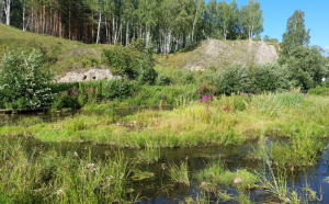 Скриншот 25-07-2021 203712.png