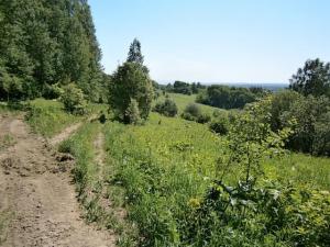 стекло и разное 006.JPG