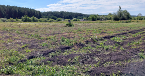 Скриншот 17-07-2021 164126.png