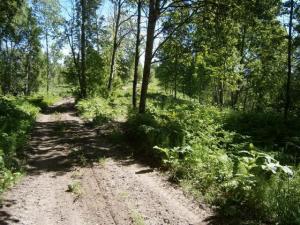 стекло и разное 005.JPG