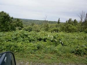 Б.М. Казанская 002.JPG