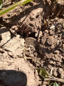 WhatsApp Image 2021-07-21 at 09.55.58 (3).jpeg